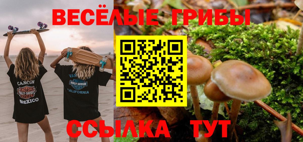Галлюциногенные грибы Cubensis  Галлюциногенные грибы GOLDEN TEACHER  Вход с VPN  Чайковский 
